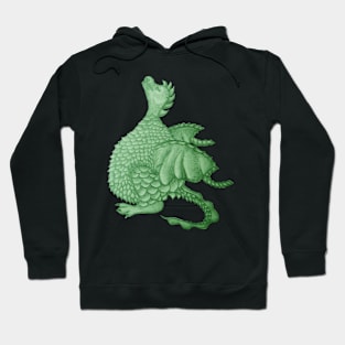 cute dragon mythical and fantasy creature Hoodie